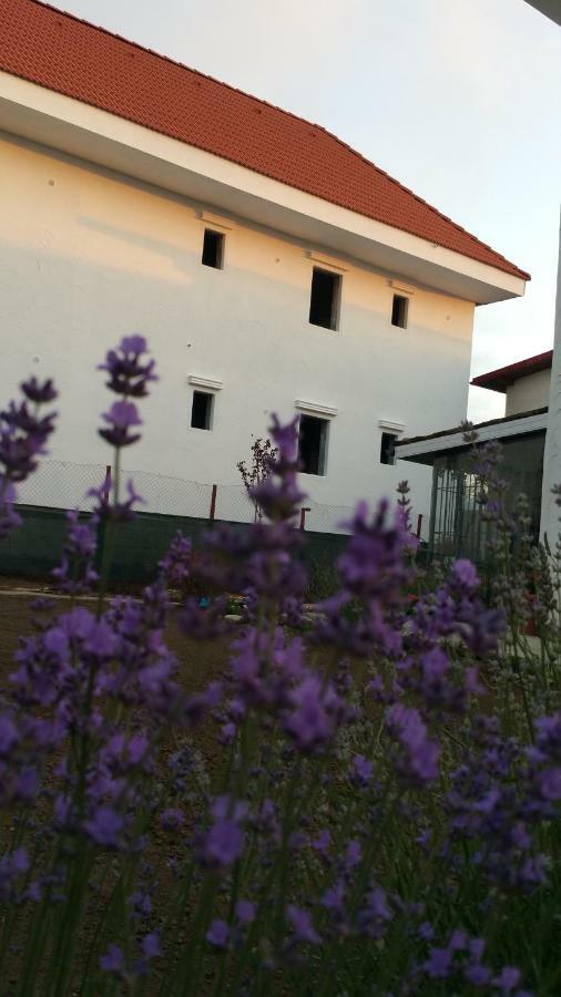 Sunny Border (Adults Only) Hotel Vama Veche Ngoại thất bức ảnh